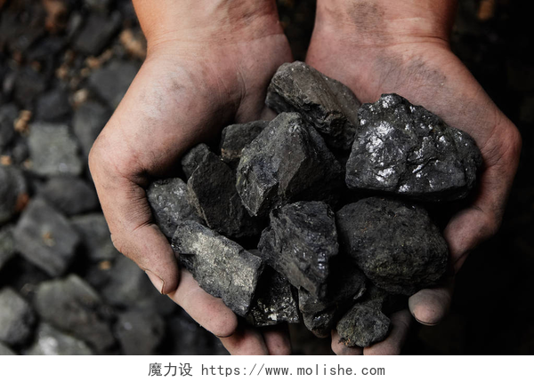 煤矿矿工用双手碰着煤炭煤矿矿工在人手中的煤炭背景。煤炭开采或能源、环保。工业煤。火山岩.